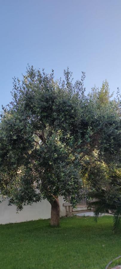 Bed and Breakfast La Bella Dimora Otranto Exterior foto